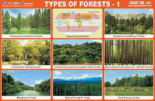Chart contains images of different types of forests