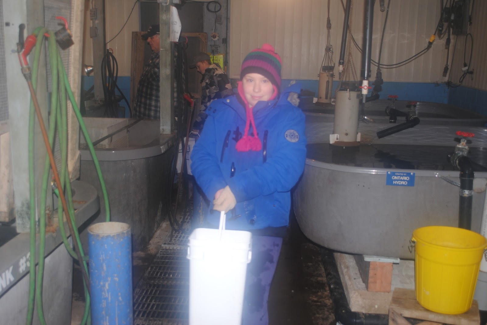 Lake Huron Fishing Club School Salmon Hatcheries and Events Lake Huron