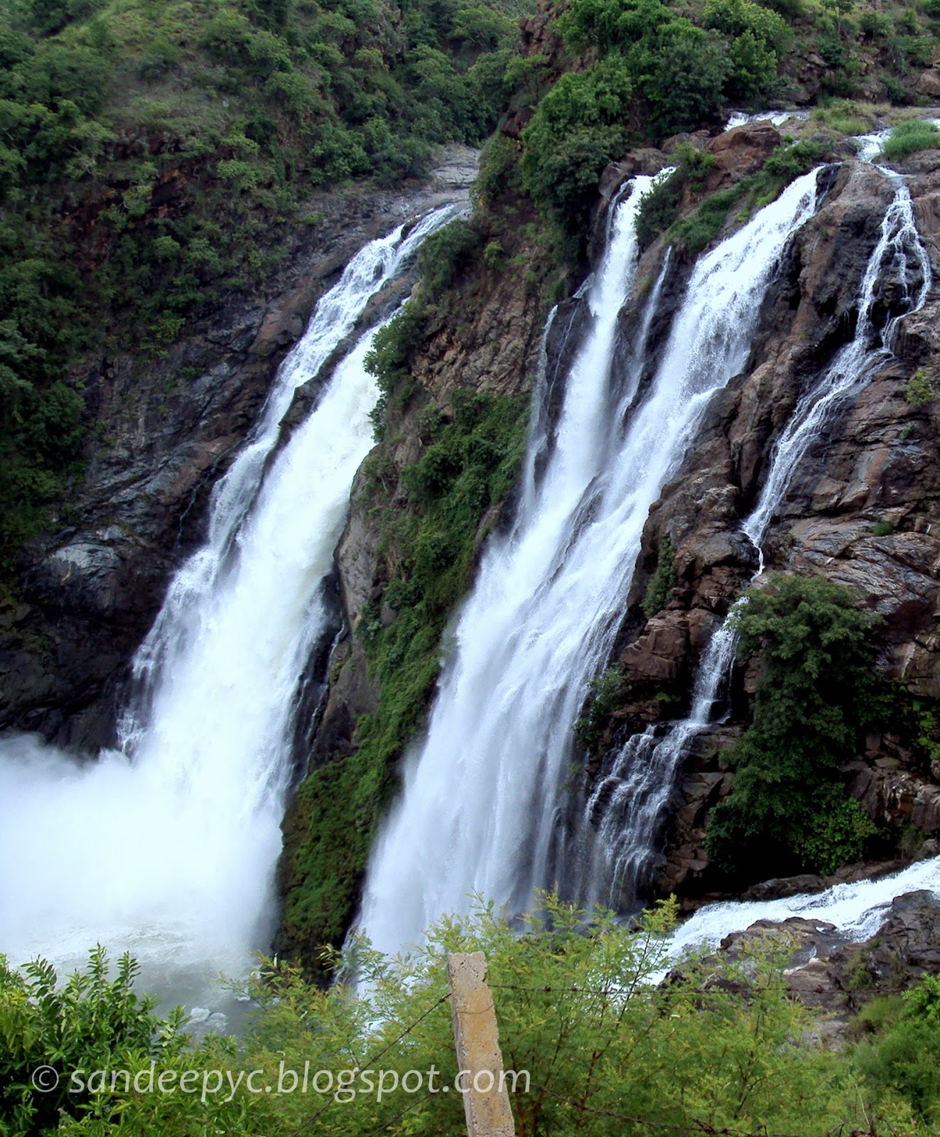 The right section of Gaganachukki falls The right section of Gaganachukki falls