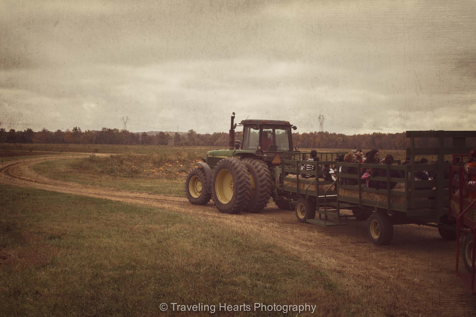Traveling Hearts Photography Pumpkin Patch at Belvedere Plantation in Fredericksburg, VA