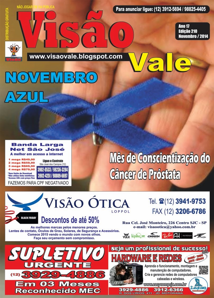 Revista Visão Vale Novembro
