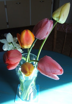 beautiful tulips.. beautiful world..