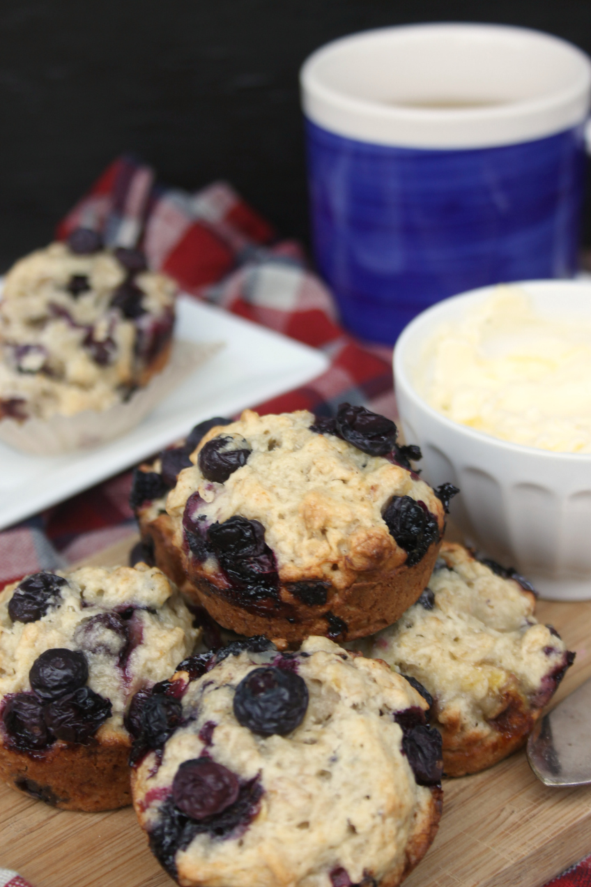 Blueberry Oat Muffin Recipe