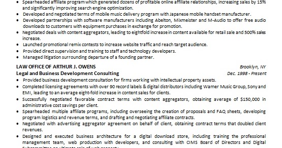 Partner and Business Development Manager Sample Resume Format in Word