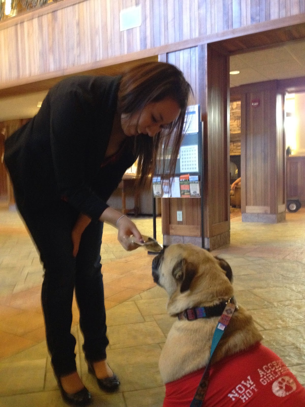 Travelin' Jack's Dog Blog Feelin' the summer heat? Travelin' Jack's