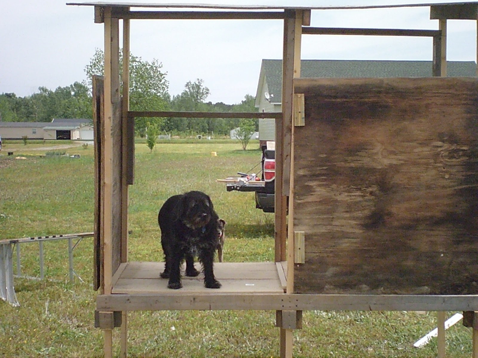 Wormsacrawling farm Daisy's new Dog House