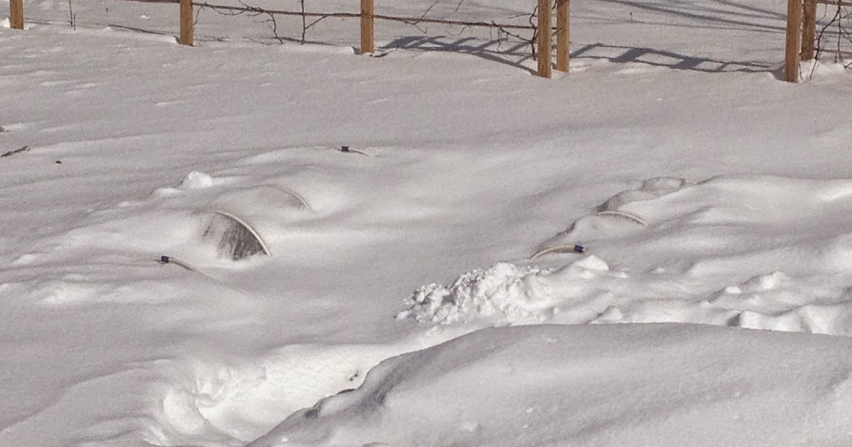 Still Digging Out