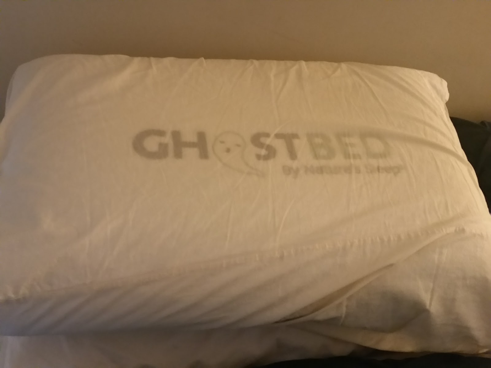 Java John Z's GhostPillow from GhostBed Review and Giveaway