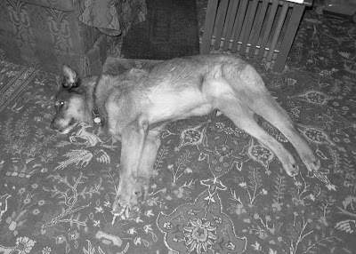 Theda, Yesterday, June 08, 2016, 2:40:15 PM