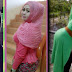 Foto Hijab Guru SMP Bikin Heboh !!
