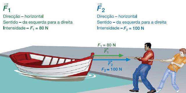 Ciências Físico-Químicas: Forças