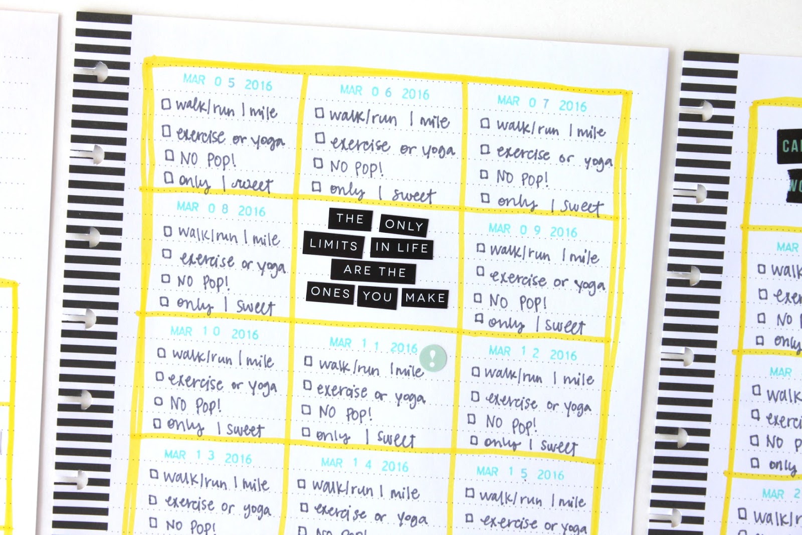 Crafty Scrapbooker: Personal Fitness Challenge in my HAPPY PLANNER™ {mambi}
