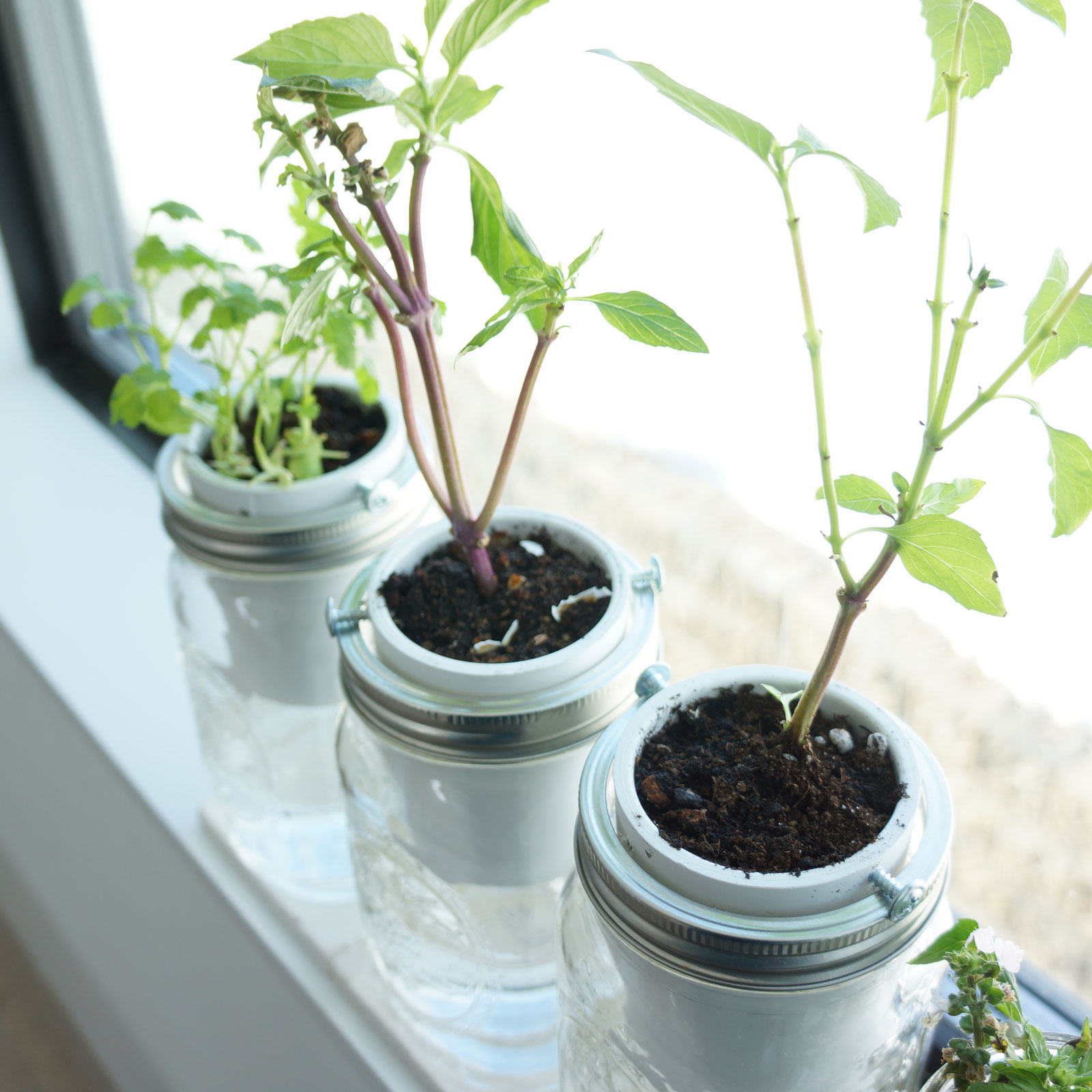 14. DIY Self-Watering Herb Planter