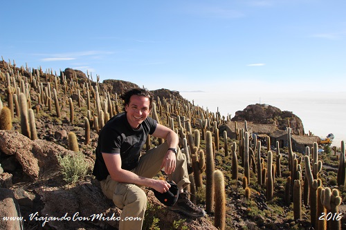 Isla-Incahuasi-Salar-de-Uyuni