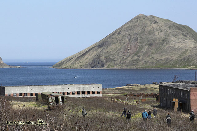 Где находится остров симушир John's Hong Kong Birding: Birding the Russian Far East Part 6 - Southern Kuril I