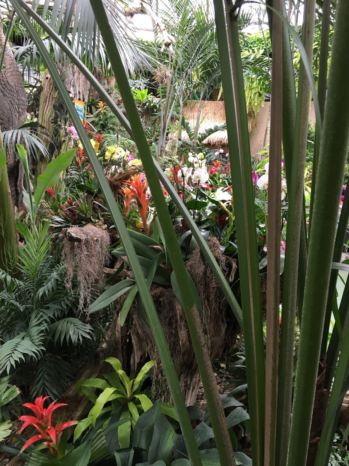 Learning Adventures Reptile Gardens