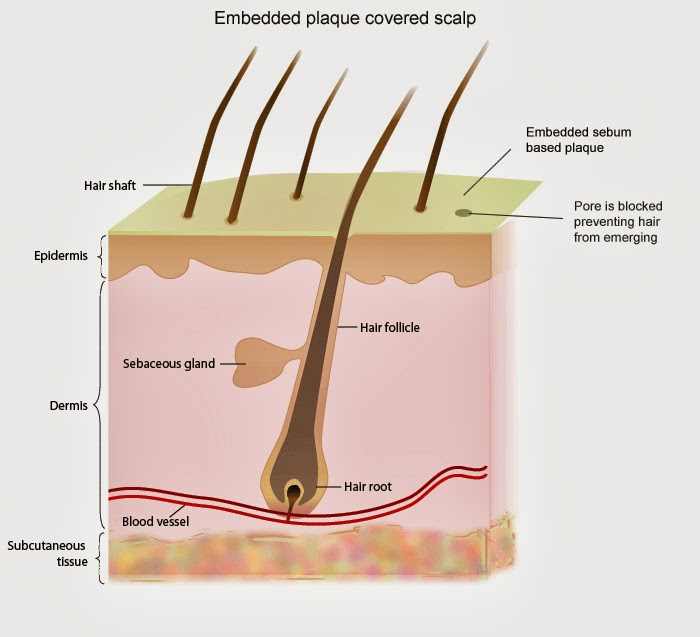 How To Make Your Hair Healthy Naturally How To Make Your Hair Healthy Naturally