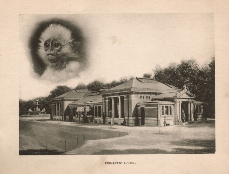 The Circus "NO SPIN ZONE" The Monkey House Ends a 111Year Run in the