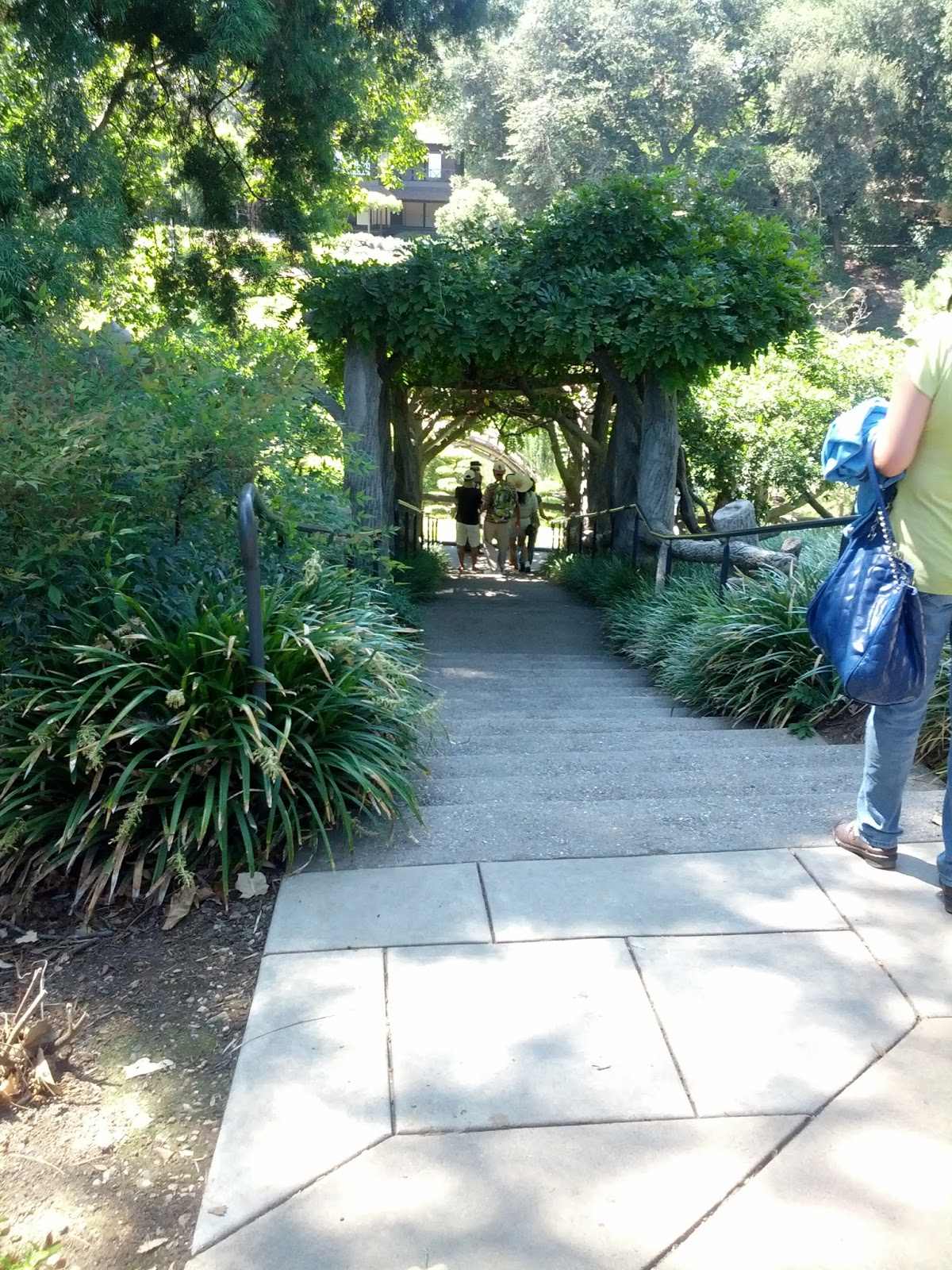 Rikachuuable Huntington Beach Botanical Gardens