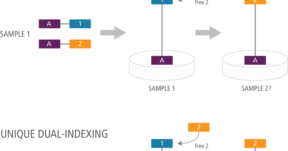 Newmarket Scientific Stopping Index Hopping in NGS