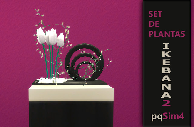 Set de plantas Ikebana detalle 2 Detalle planta Ikebana numero 2