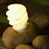 Light Your Room for a Whole Month by Using a Potato!!!