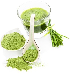 Barley Grass for Achalasia Barley Grass for Achalasia