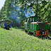 Manewry Lyd1-251 z wagonami na mijance w Marculach