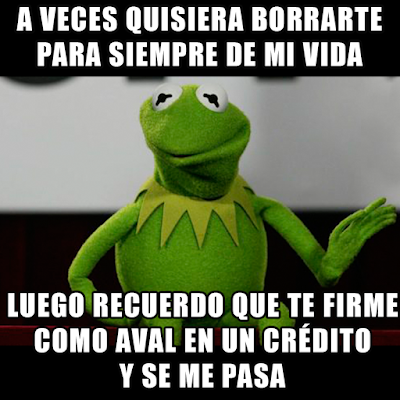 Imágenes chistosas de la rana rene: Imágenes chistosas de la rana rene: