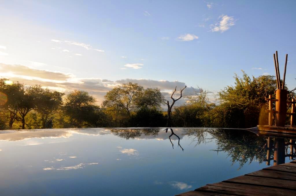 Tangarire Treetops lodge, Tanzania, Afrika, Oost-Afrika, luxelodges, Afrikaanse lodges, infinity zwembad, Afrikaanse wildernis, 