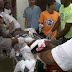 De Ultimo Minuto: Dos Haitianos Matan Oficial del Ejército Nacional para despojarlo de su Pistola De Ultimo Minuto: Dos Haitianos Matan Oficial del Ejército Nacional para despojarlo de su Pistola