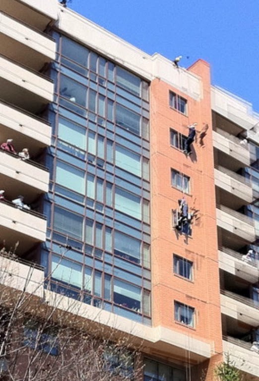 RobinsonSolutions Professional Window Cleaning Baltimore Window Cleaner Rescue