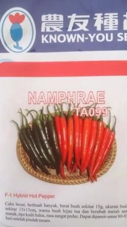 Cabe Namphrae, Benih Cabe Namphrae, Cabai Namphae, benih petani,tahan virus, buah lebat, Know You Seed, tahan layu, tahan cekaman calcium