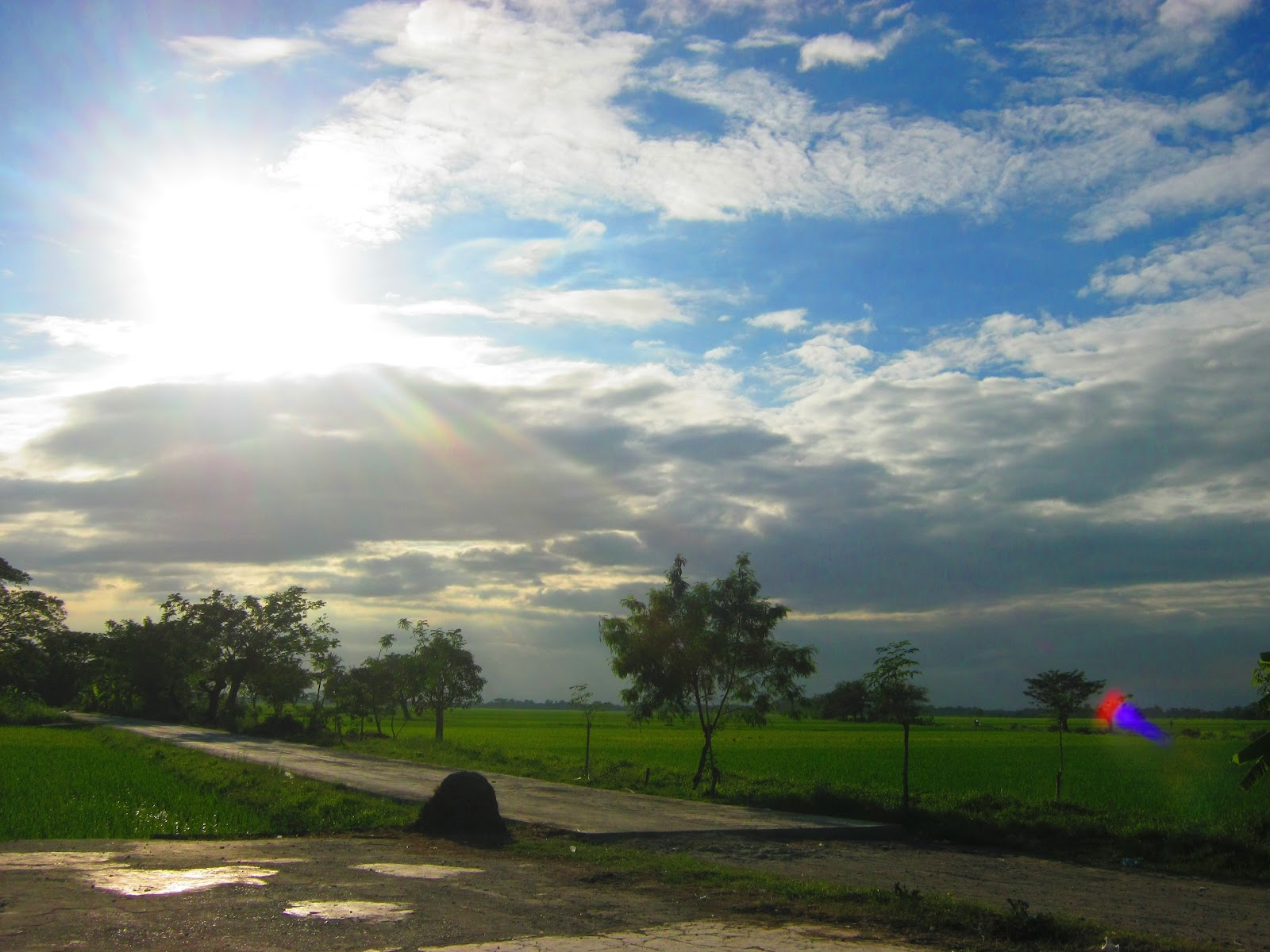 Still in Brouhaha Nueva Ecija Rice Bowl of the Philippines