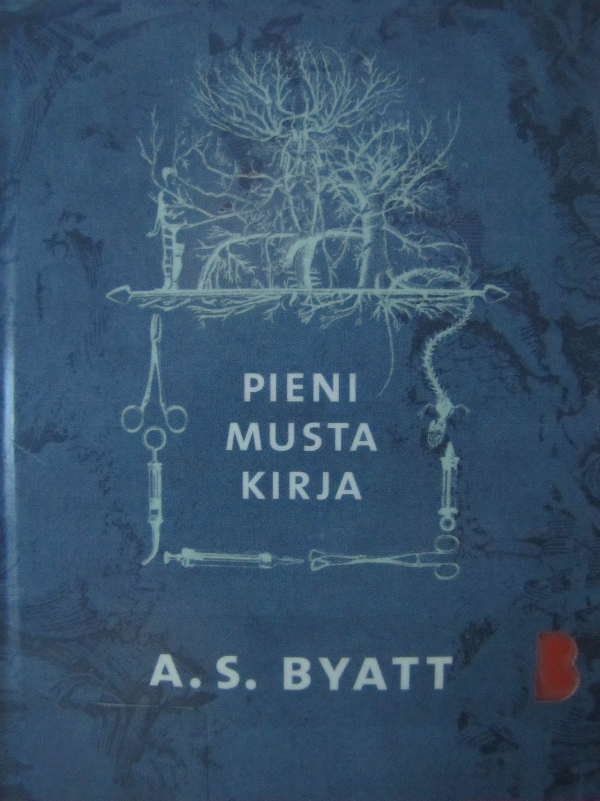 Rinkka ja nojatuoli Pieni musta kirja Rinkka ja nojatuoli Pieni musta kirja