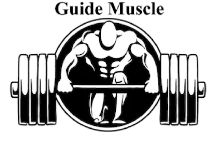 Guide Muscle