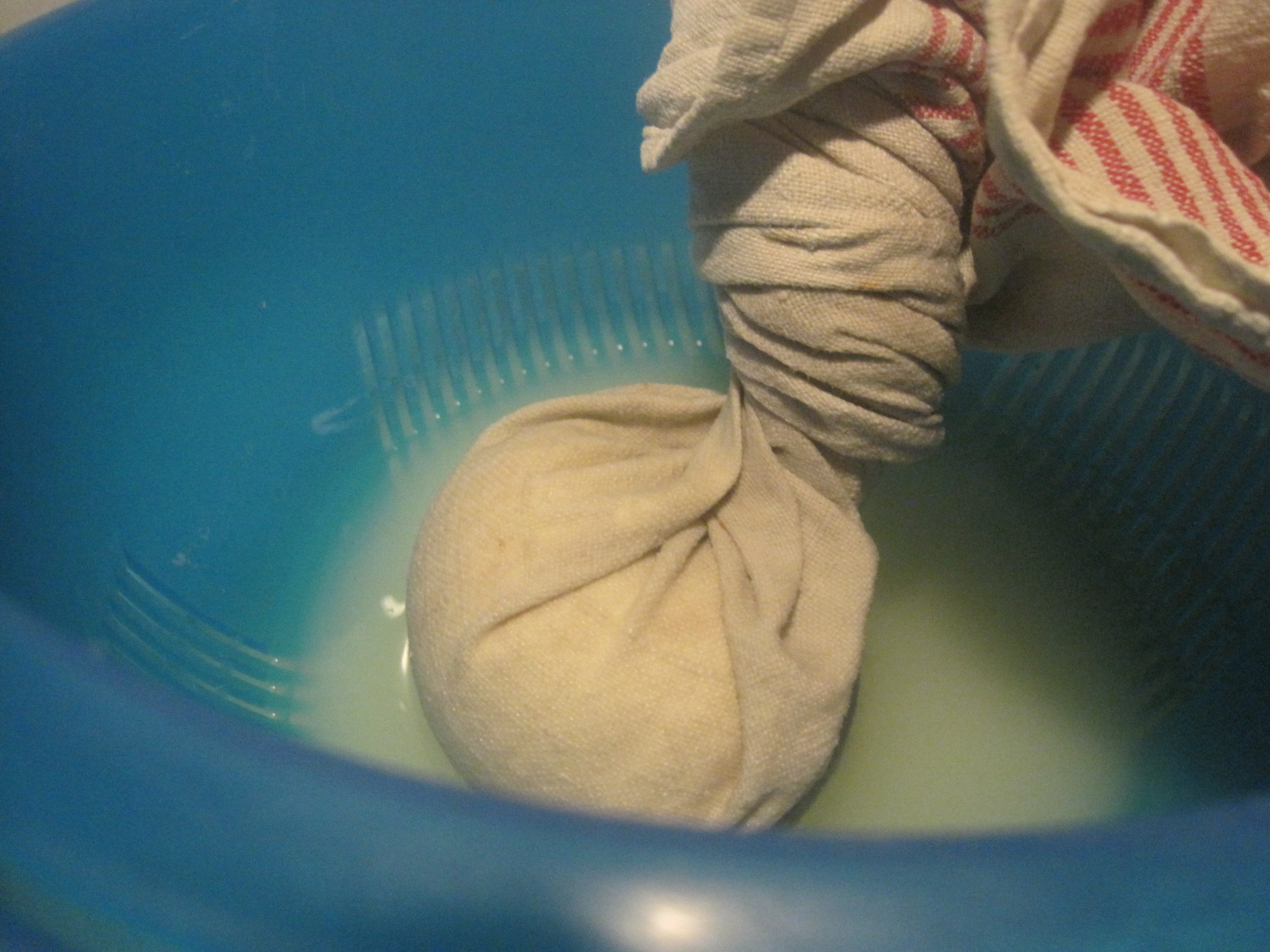 Mozzarella selbst gemacht – glatzkoch.de