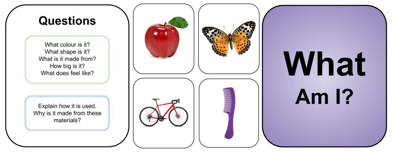 Stuff and Nonsense...: Literacy Plan - "What Am I?" Game