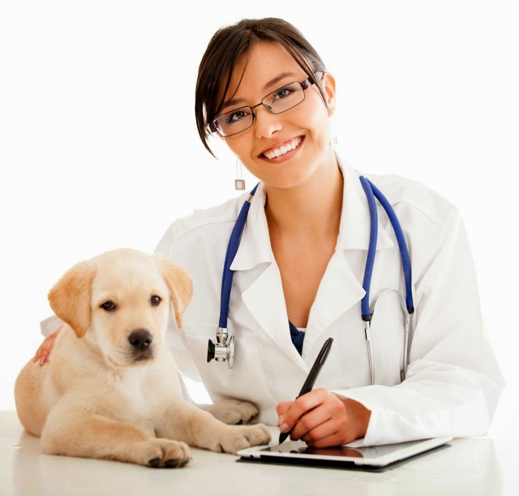Todo lo que deberías saber si quieres estudiar veterinaria y zootecnia