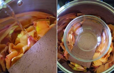 Cách làm tinh dầu nước hoa hồng tinh khiết tại nhà Cach-lam-nuoc-hoa-hong-nguyen-chat-tai-nha-6