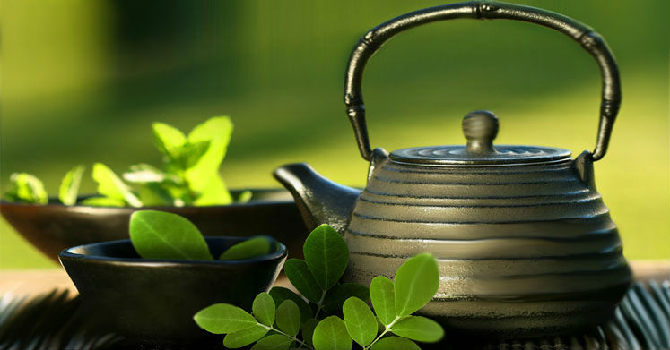 moringa çayı