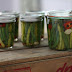 Bean Plant Update & Canning Spicy Dilly Beans