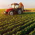 Five Reasons Why Youth Should Choose Agriculture