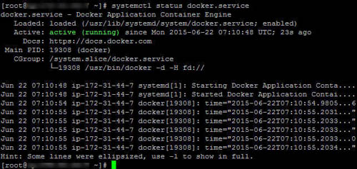 Active active exited. Основные команды docker список команд. /Usr/bin/docker: line 19: /usr/bin/docker-current: отказано в доступе.