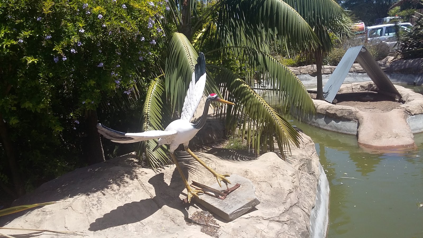 Port Elizabeth Open Sky Algoa Bay Port Elizabeth