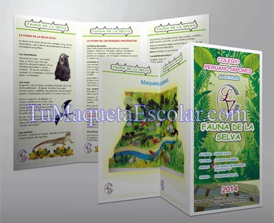 Tu Maqueta Escolar - Lima Peru: Triptico Fauna de la Selva