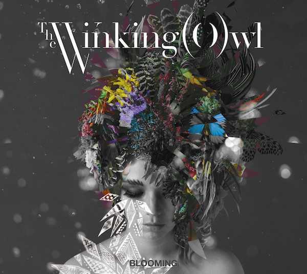 [Album] The Winking Owl - BLOOMING [11.05.2016]
