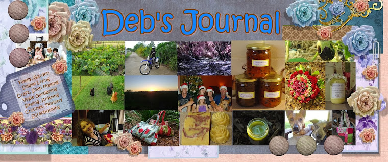 Deb's Daily Journal