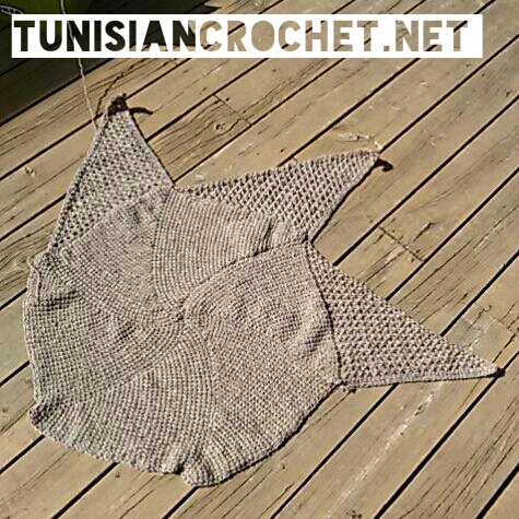 Tutorial: How to Crochet Short Row Circle in Tunisian Crochet 