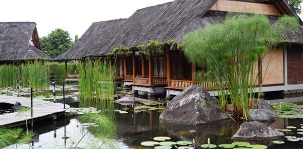 Info Kontak Dan Lokasi Hotel Kampung Sumber Alam Info Kontak Dan Lokasi Hotel Kampung Sumber Alam